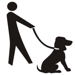 Mainzer's senior family and dog